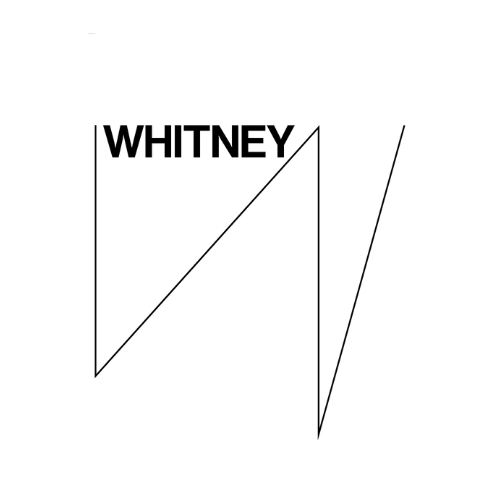 Logo Item